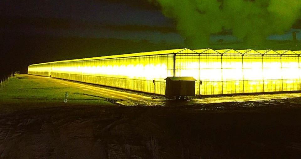 Polské skleníky v příhraničí září až 60 kilometrů daleko, kvůli světlu ubývá ptáků i hmyzu