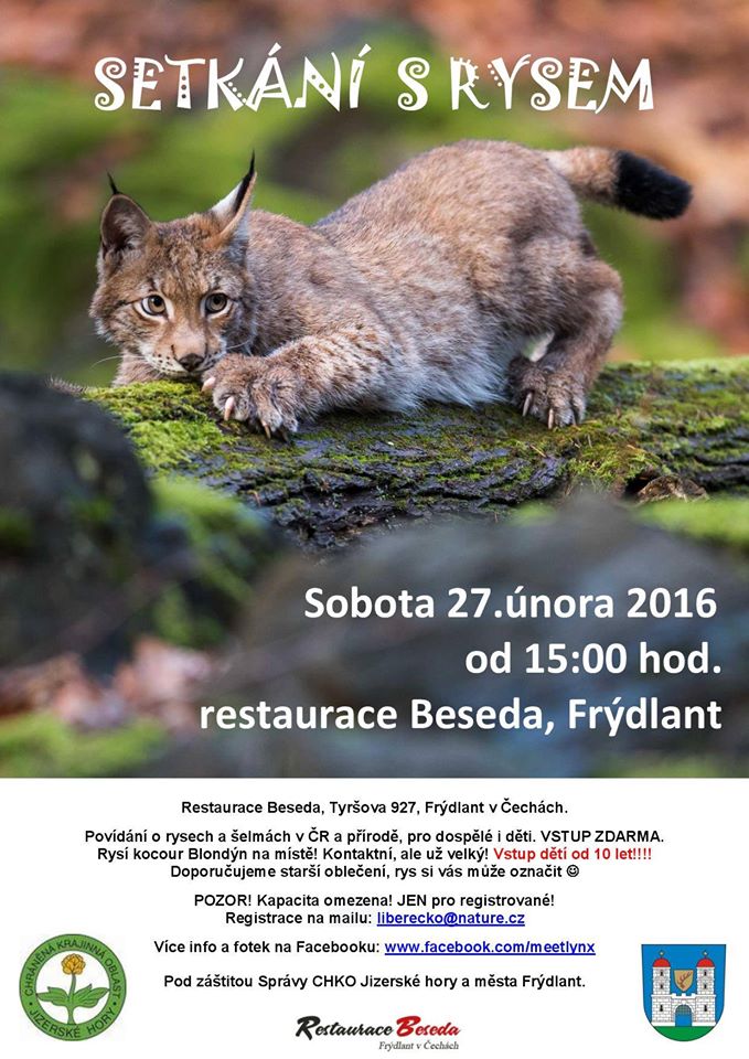 Setkání s rysem – aktualizace 2 12646626_1013265448719758_2923407022575187603_o