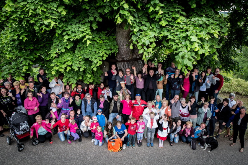 Strom roku 5 Obyvatele_Tatobit_u_lipy