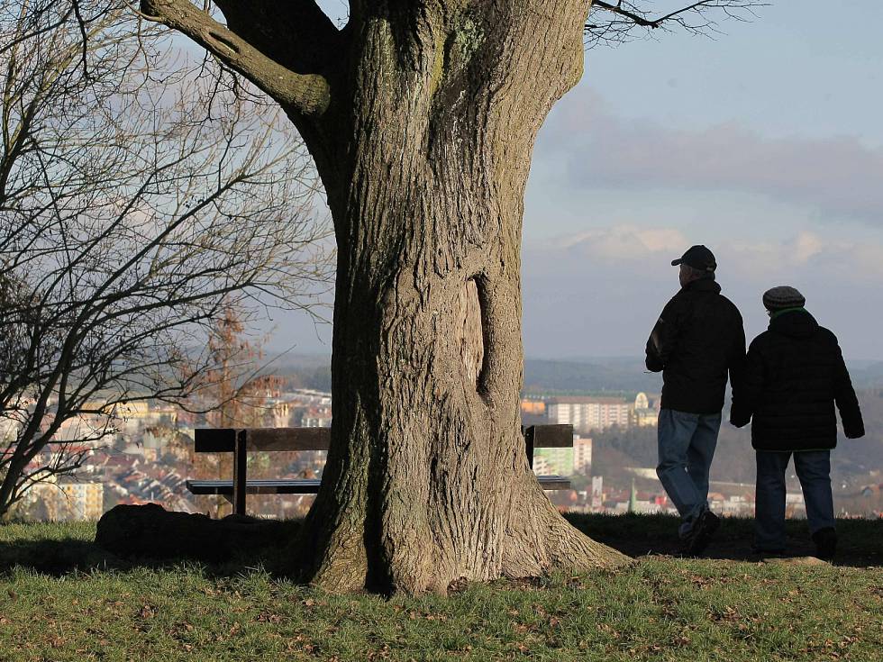Nadprůměrné teploty vydrží až do půlky března