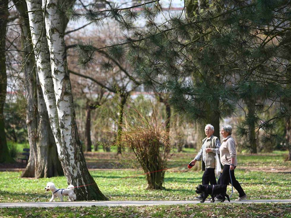 Méně srážek, nadprůměrné teploty. V příštích týdnech může být až 20 stupňů