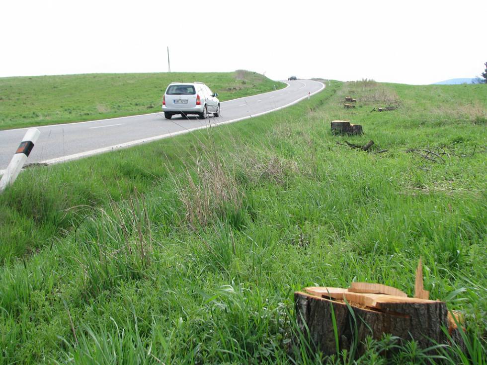 Třešňová alej už je minulostí