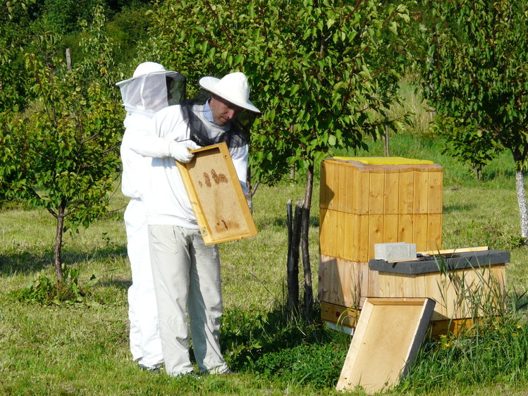 Liberecký Kraj podpoří zemědělství, včelařství a lokální produkci