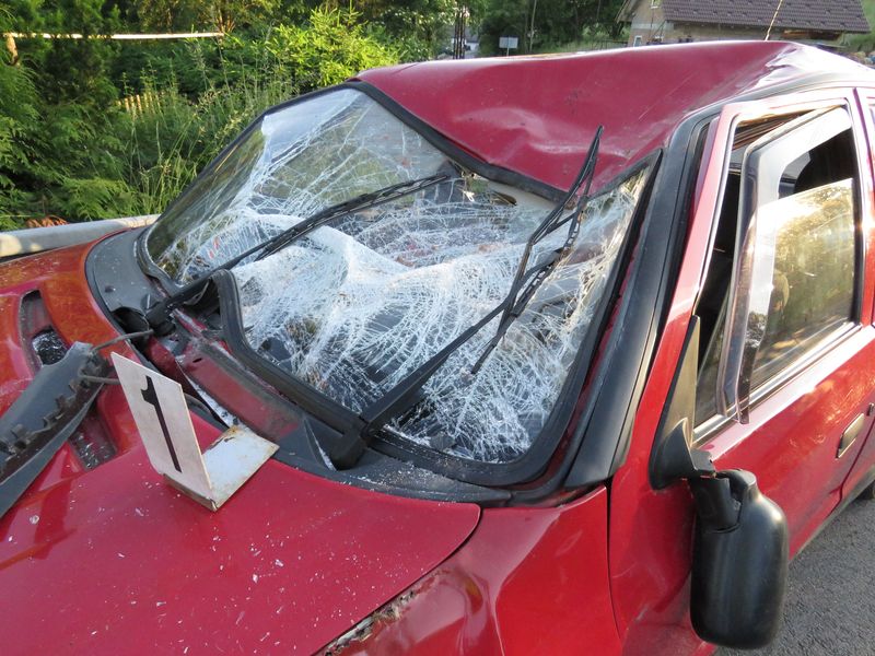 Do cesty řidiči vběhl splašený kůň