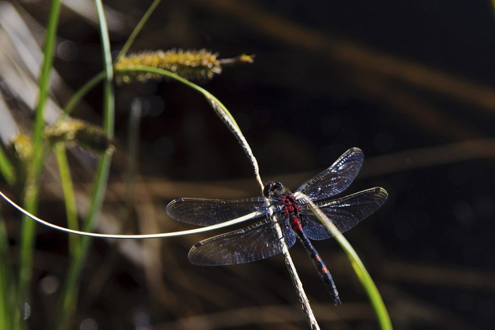 Vyberte nejkrásnější snímky Jizerských hor ve 4. kole soutěže