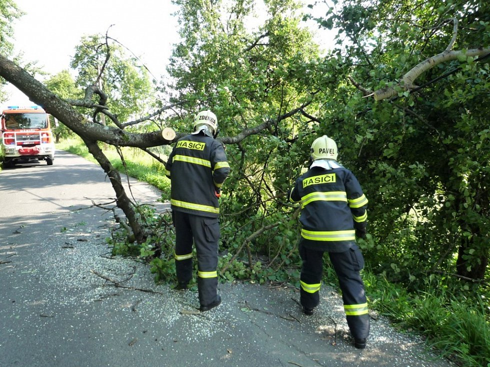 Lesáci sčítají škody. Vichřice jim paradoxně pomohla