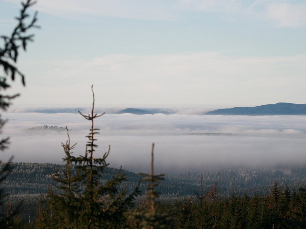 Dobrovolníci posečou louky v Jizerkách