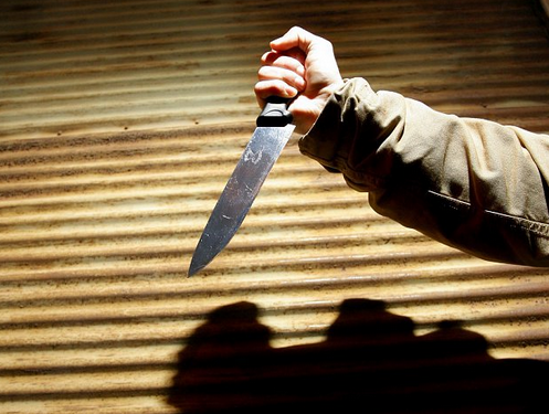 Vražedkyně dostala 15 let