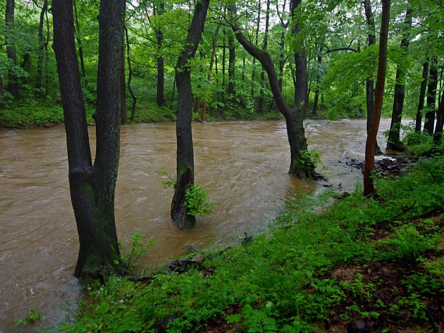 Déšť zvedá hladiny řek. Ve Višňové již povolali hasiče
