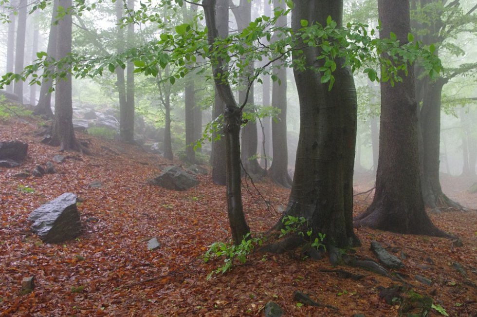 Vyberte nejkrásnější snímky Jizerských hor v 6. kole soutěže
