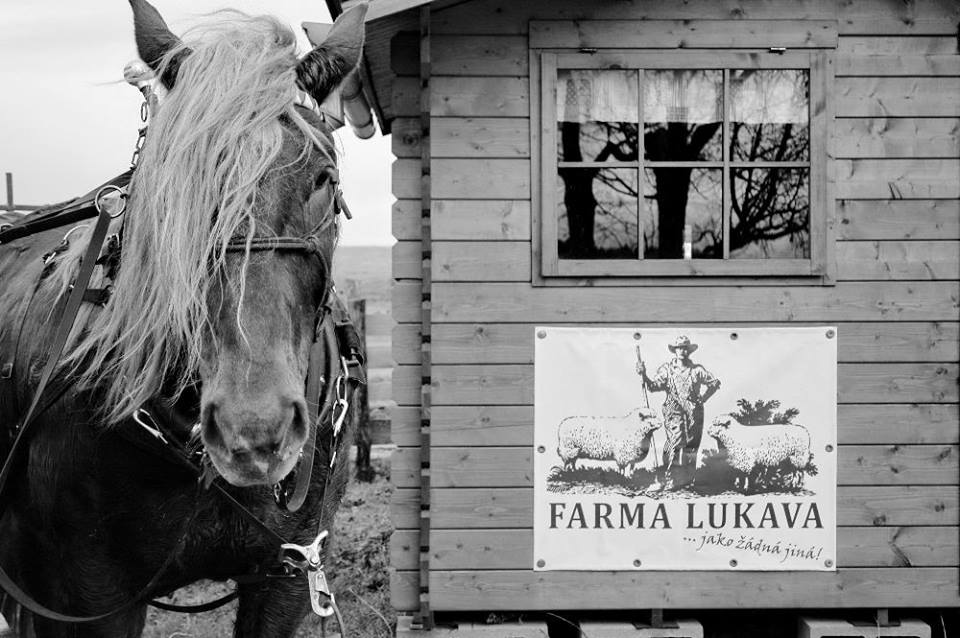 Poznej svého farmáře – Farma Lukava