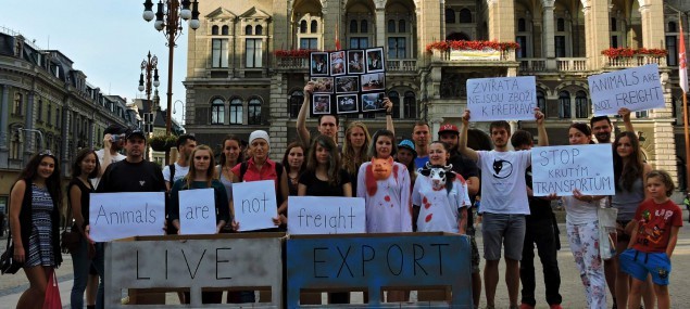 Před libereckou radnicí se demonstrovalo. Několik desítek lidí vyjádřilo nesouhlas s utrpením zvířat