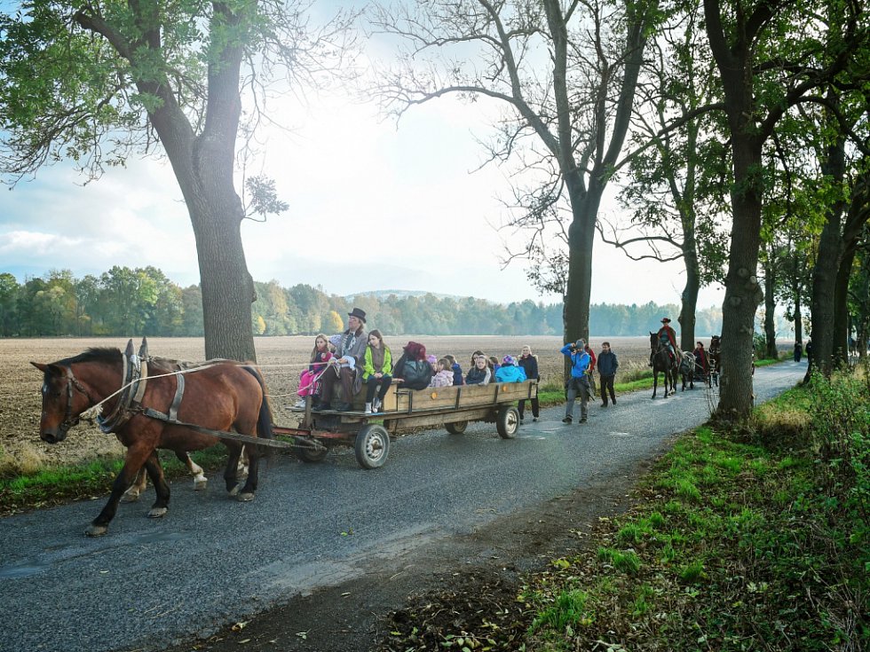 Obnovu alejí komplikují majitelé pozemků