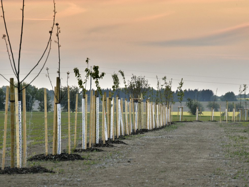 Dobrovolníci se chystají na 72 hodin práce pro okolí