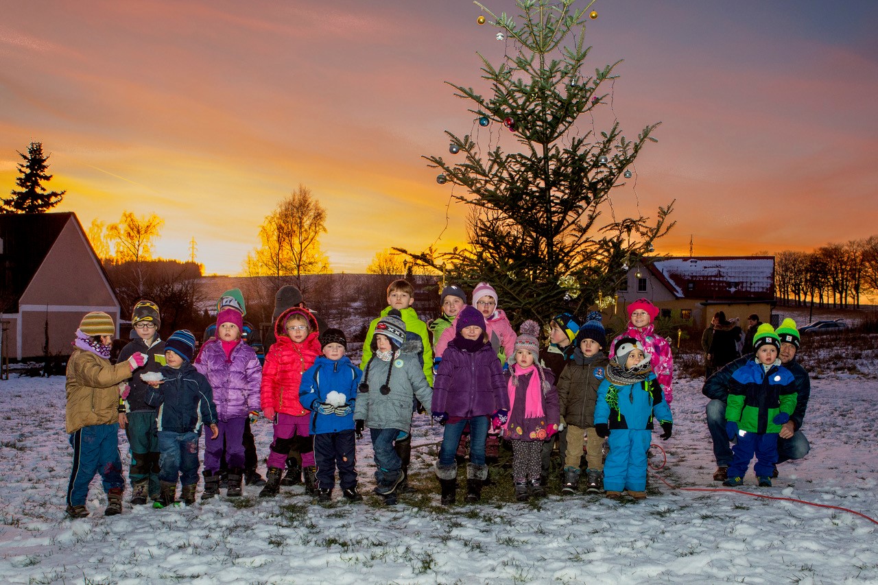 Plus 7 Také Albrechtice mají svůj vánoční strom, rozsvítil se o víkendu