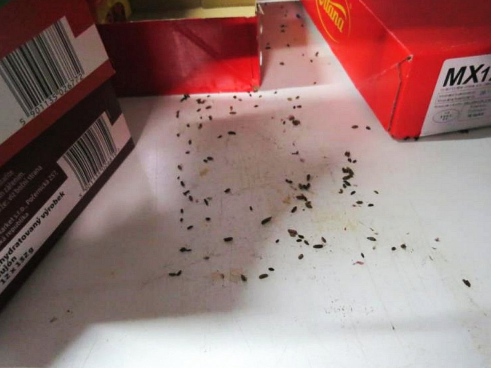 Obchod zavřela inspekce, hospodu EET