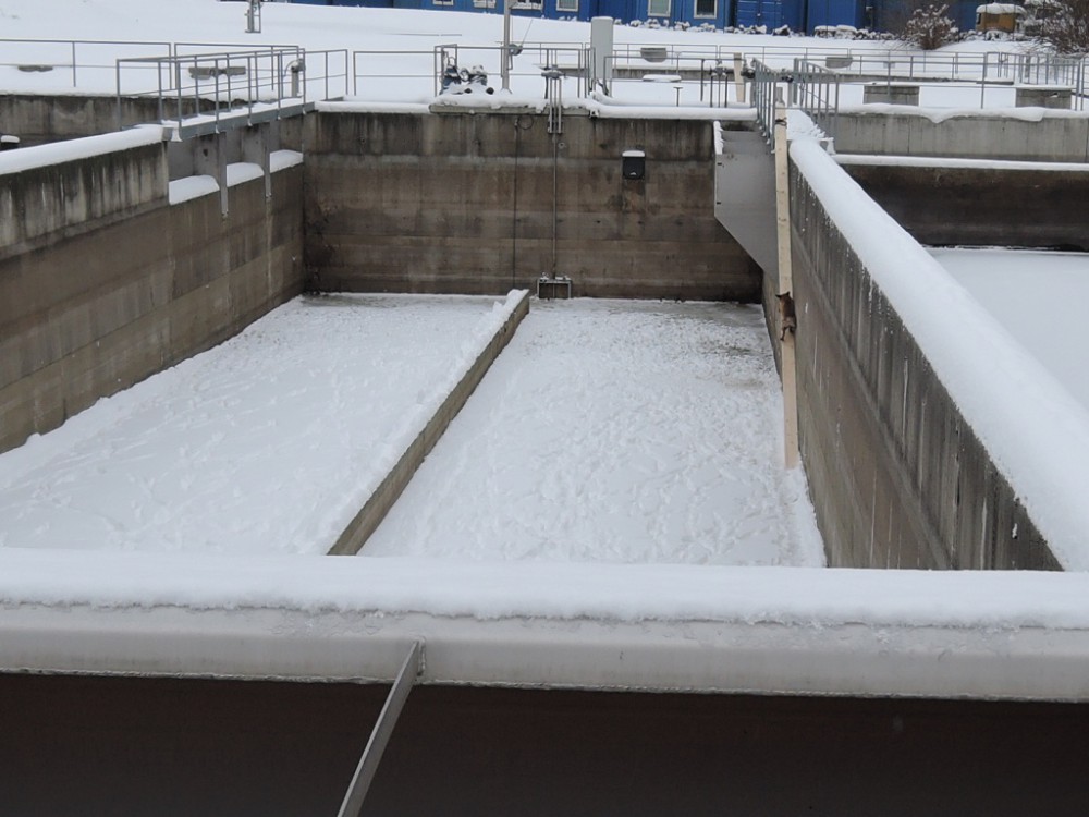 Zatoulaná liška spadla do jímky v čistírně odpadních vod, hasiči ji vytvořili lávku