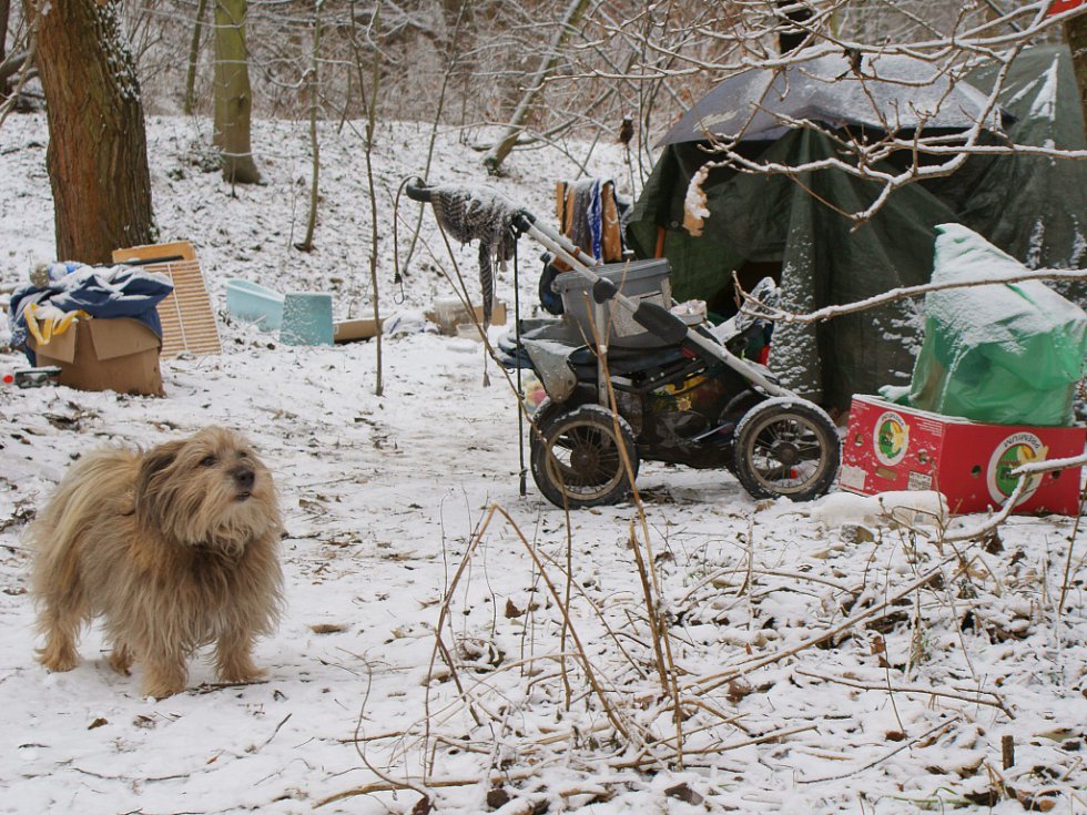 Červený kříž shání oblečení