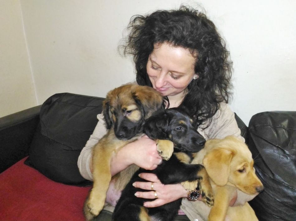 Máte rádi zvířata a chcete pomáhat? Staňte se ‚dočaskářem‘