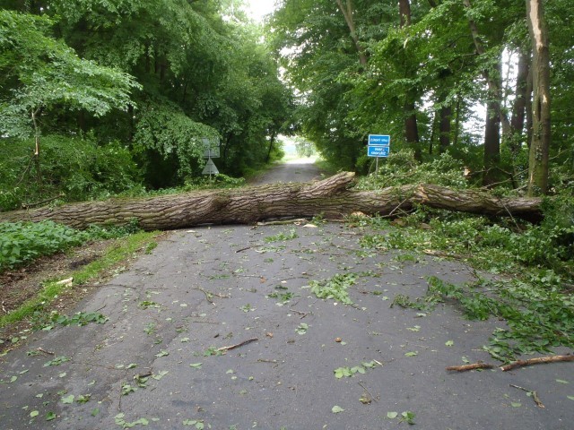 Služby, společnosti, firmy a živnostníci 23 Meteorologové varují před silným větrem, který v sobotu zasáhne Liberecký kraj