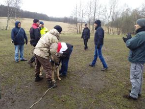 Izraelští celníci si v Heřmanicích vybrali sedm služebních psů
