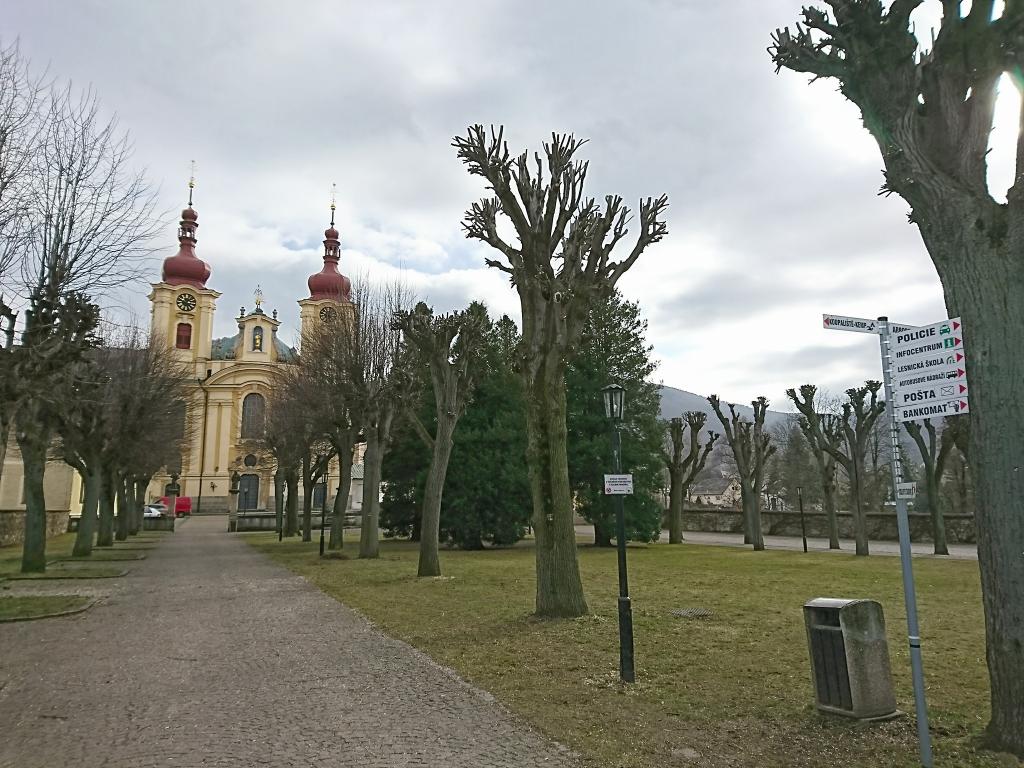 Lípy před kostelem prošly nutným ořezem