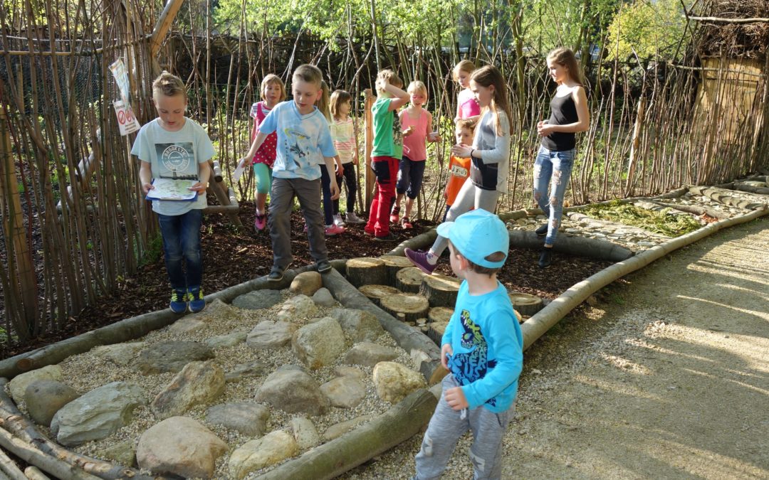 Nadace podporuje ekologickou výchovu na školách