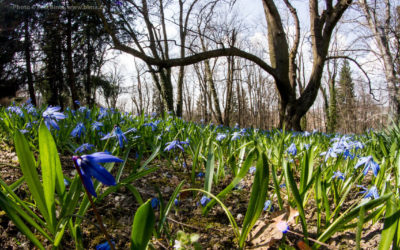 Jaro na Frýdlantsku ve fotografii