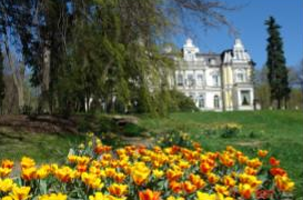 Společnost CiS hledá do svého týmu posilu – vedoucí oddělení centra služeb