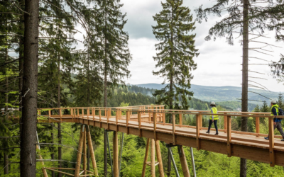 TJ Jiskra Višňová 65 V Krkonoších roste stezka do korun stromů, hotová bude v červenci