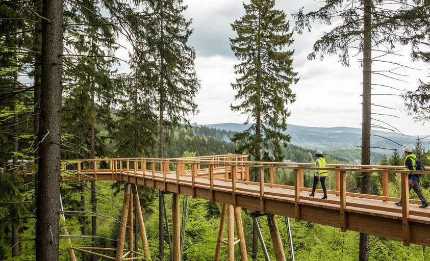 V Krkonoších roste stezka do korun stromů, hotová bude v červenci