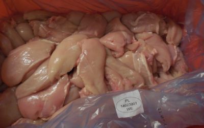 Ubytování, penziony, hotely, chaty, chalupy, resorty, hostely, motoresty a kempy 23 Stovky kilogramů polského kuřecího masa se salmonelou skončily u Liberečanů