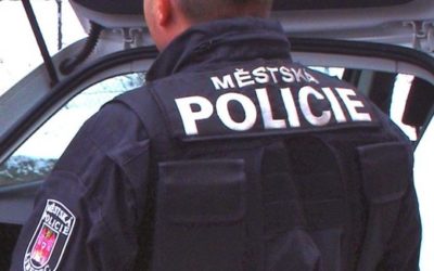 Ubytování, penziony, hotely, chaty, chalupy, resorty, hostely, motoresty a kempy 47 Psi na cizí zahradě zakousli kočku