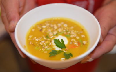 Ubytování, penziony, hotely, chaty, chalupy, resorty, hostely, motoresty a kempy 27 Dětem ze sociálně slabých rodin budou i v dalším školním roce zaplaceny obědy