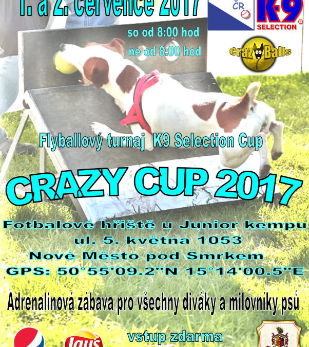 Crazy Cup 2017