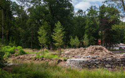 Plus 9 Zámecký rybník znovu prokoukne