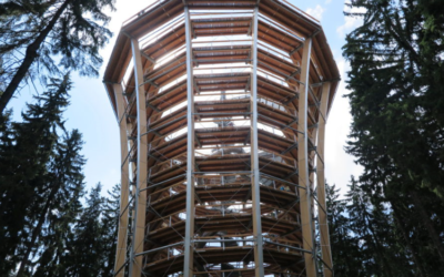 Plus 4 VIDEO: Nejnovější atrakce Krkonoš – Stezka korunami stromů