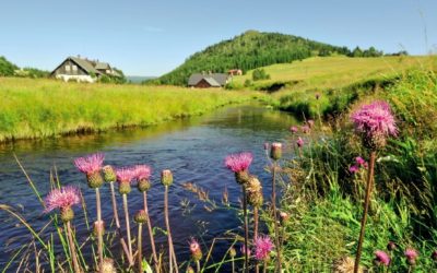 Potraviny Měděnka Hejnice 64 Právě vyšlo červencové číslo časopisu Krkonoše – Jizerské hory