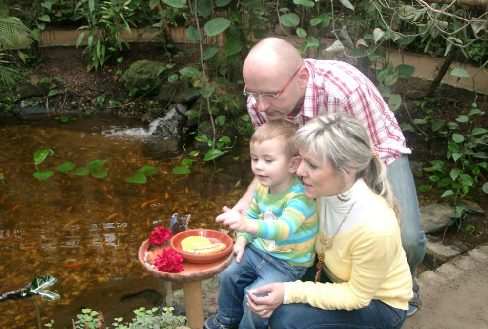 Exotika kousek za hranicemi. V Motýlím domě Jonsdorf okusíte atmosféru deštného pralesa