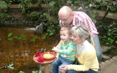 Potraviny Měděnka Hejnice 63 Exotika kousek za hranicemi. V Motýlím domě Jonsdorf okusíte atmosféru deštného pralesa