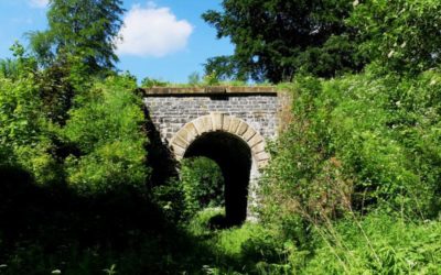 Potraviny Měděnka Hejnice 63 Nová naučná stezka ve Frýdlantě povede přes mokřady a bude mít výhled na zámek