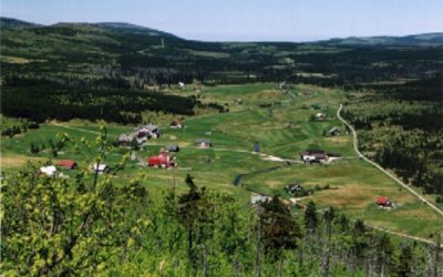 Plus 5 Na Jizerce v noci mrzlo. Meteorologové naměřili minus 1,4 stupně