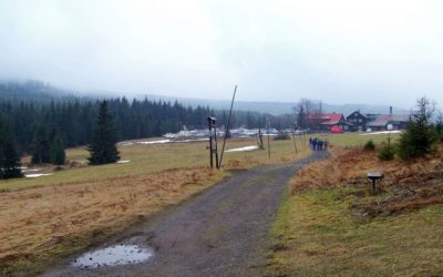 Plus 7 V Jizerských horách budou dobrovolníci kosit i Pralouku