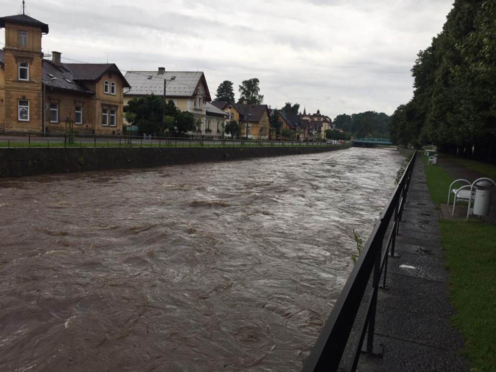 1000x1000 1501136382 smeda ve frydlante ve ctvrtek pred osmou hodinou rano