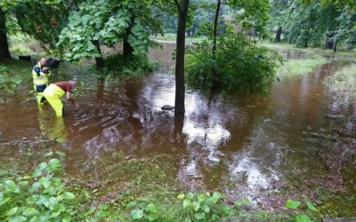 Plus 7 VIDEO: Hladiny řek klesají, bdělost na Smědé byla v poledne odvolána