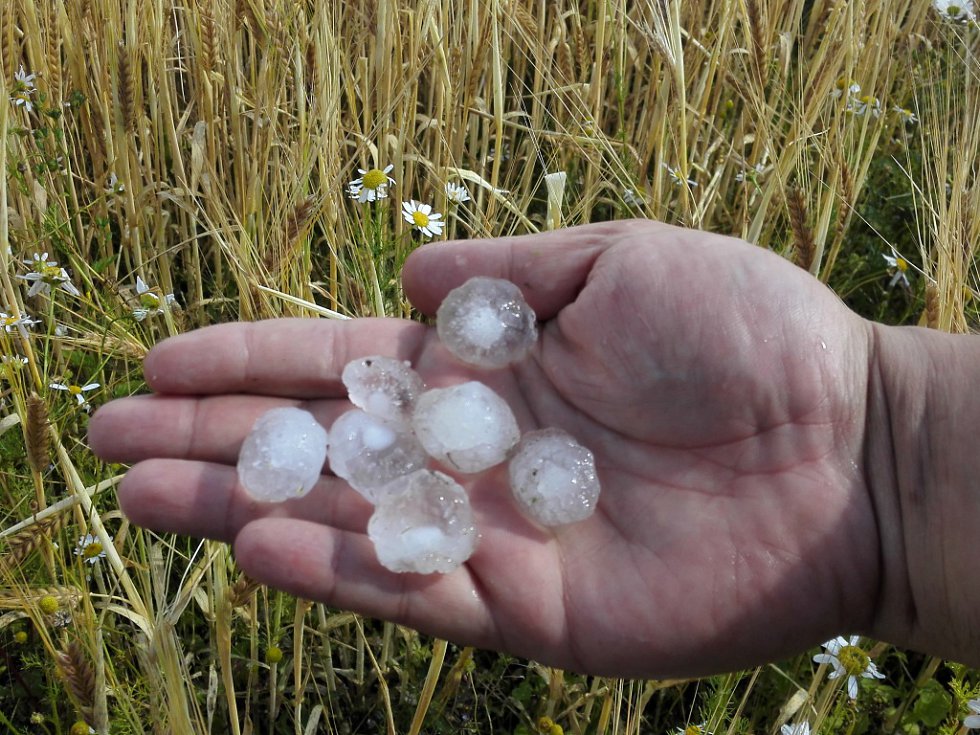 kroupy frydlantsko galerie 980