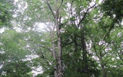 Ubytování, penziony, hotely, chaty, chalupy, resorty, hostely, motoresty a kempy 63 Jedna z etap na Křížovém vrchu je ukončena