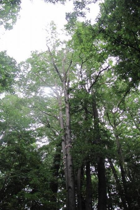 Jedna z etap na Křížovém vrchu je ukončena