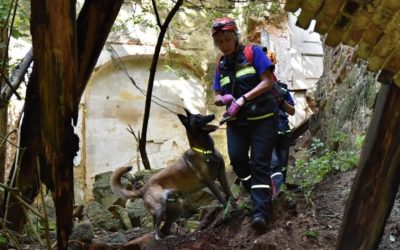 Kraj nebude zvyšovat ceny hromadné dopravy v tarifu IDOL 10 V Jablonném zachraňovali psi z celé ČR