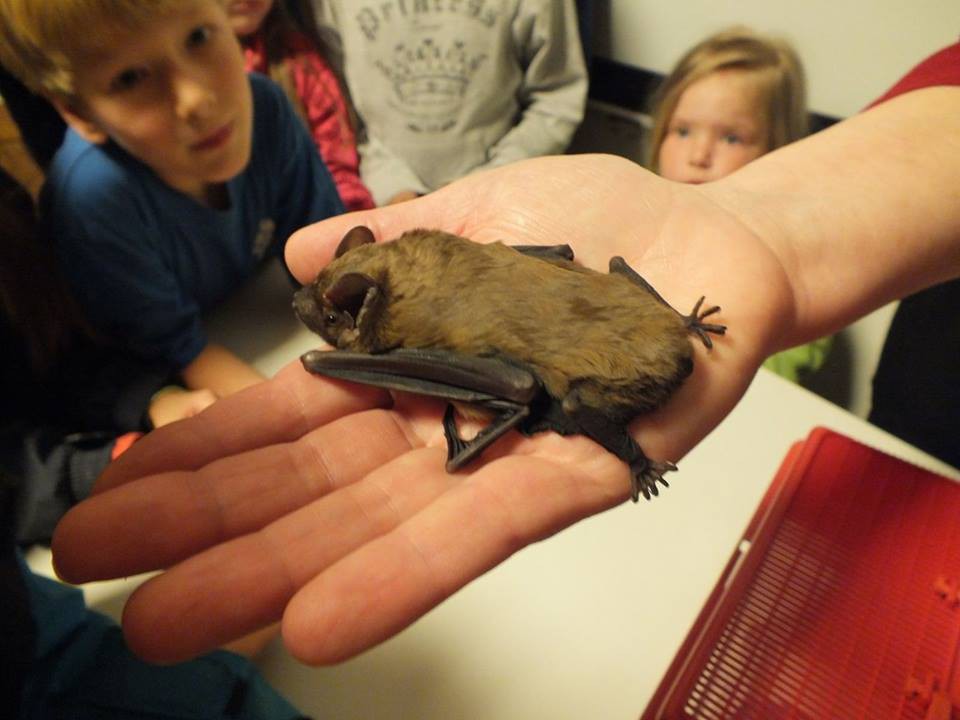 1000x1000 1503310615 ilustracni foto